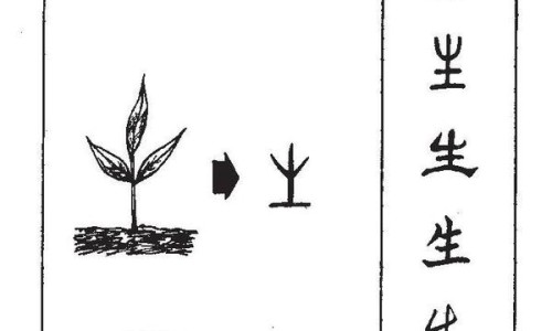 可乐生姜水的功效 禁忌-可乐生姜有什么功效与作用网—知名的可乐十生姜下去煮有什么功效网站,分享可乐生姜水的功效 禁忌知识